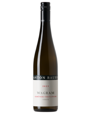 Toni's Grüner Veltliner DAC 2025 – Flasche Grüner Veltliner vom Weingut Anton Bauer