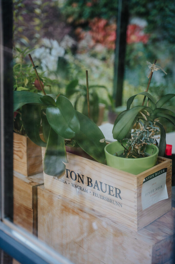 Orchideen in Anton-Bauer-Weinkiste auf Fensterbank vor Garten