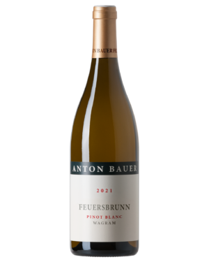 Pinot Blanc Feuersbrunn DAC 2021 – Flasche Weißburgunder von alten Reben, Anton Bauer