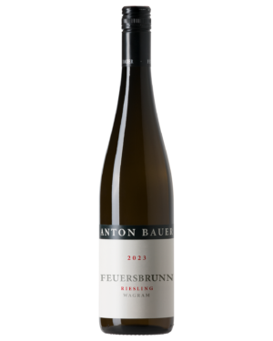 Riesling Feuersbrunn DAC 2023 – Flasche Riesling vom Weingut Anton Bauer, Wagram