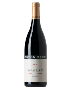 Wagram Pinot Noir Reserve L.E. DAC 2021 – Flasche Pinot Noir vom Weingut Anton Bauer, Wagram