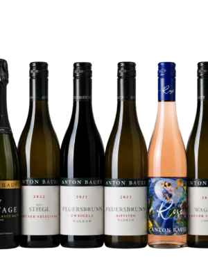 WM-Package &ndash; Weinpaket mit sechs Weinen vom Weingut Anton Bauer