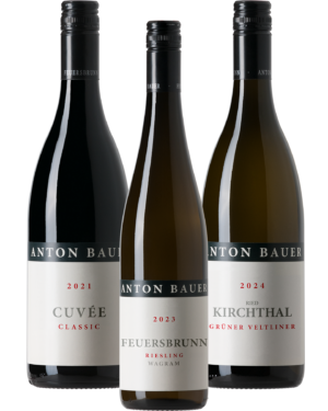 Anton Bauer Kennenlern-Paket &ndash; Weinpaket vom Weingut Anton Bauer